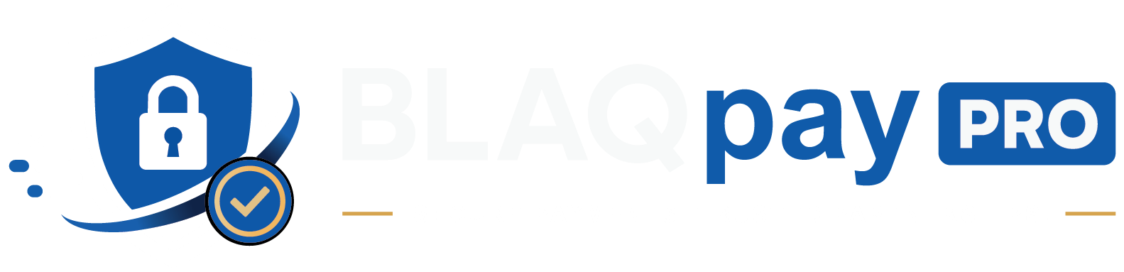BLAQpay PRO